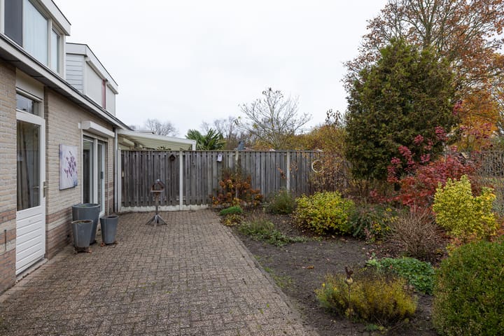 Foto 34 van Botter 37 43