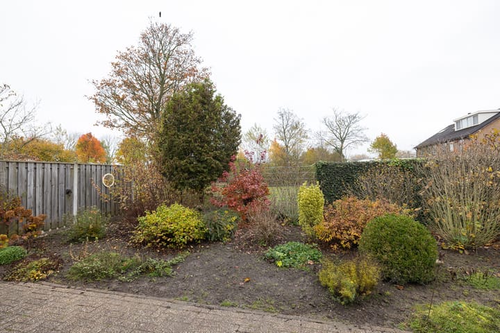 Foto 38 van Botter 37 43