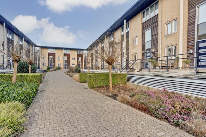 Foto 9 van Dokhof 12