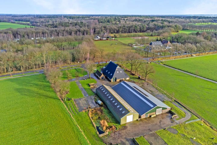 Photo 54 of Jan Schotanuswei 61