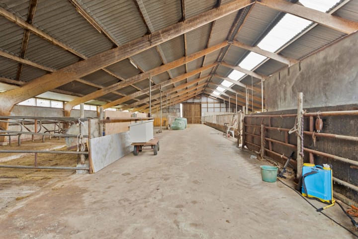 Photo 59 of Jan Schotanuswei 61