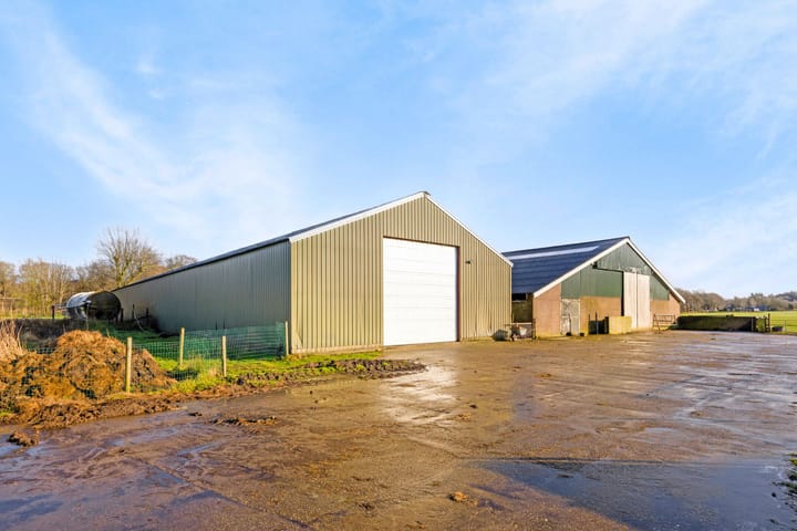 Photo 60 of Jan Schotanuswei 61