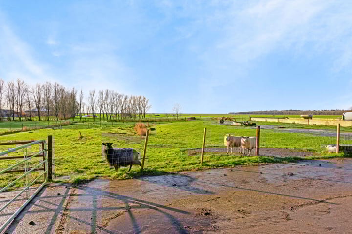 Photo 63 of Jan Schotanuswei 61