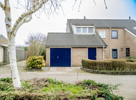 undefined main image