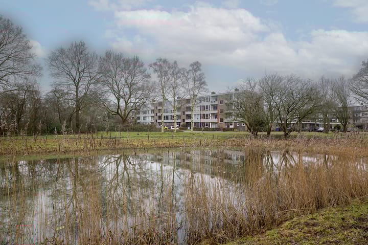 Foto 29 van Ruusbroecstraat 181