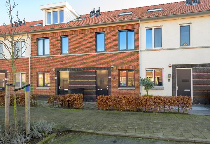 Foto 1 van Vuurvlinder 26