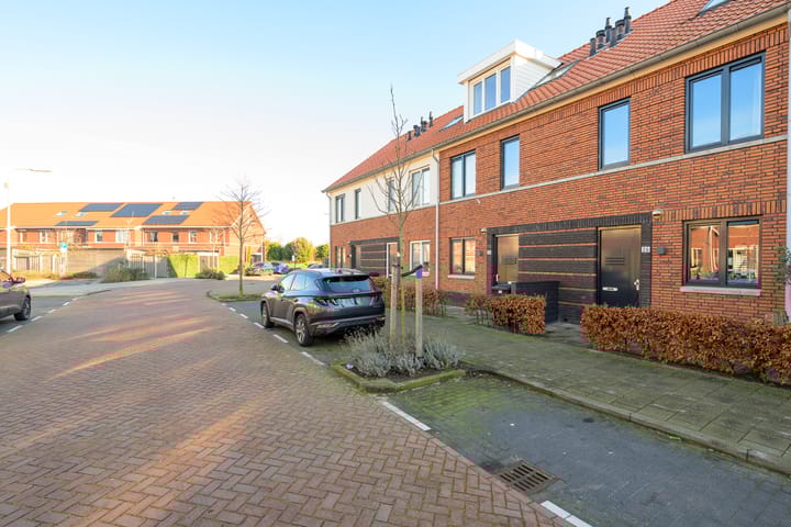 Foto 32 van Vuurvlinder 26