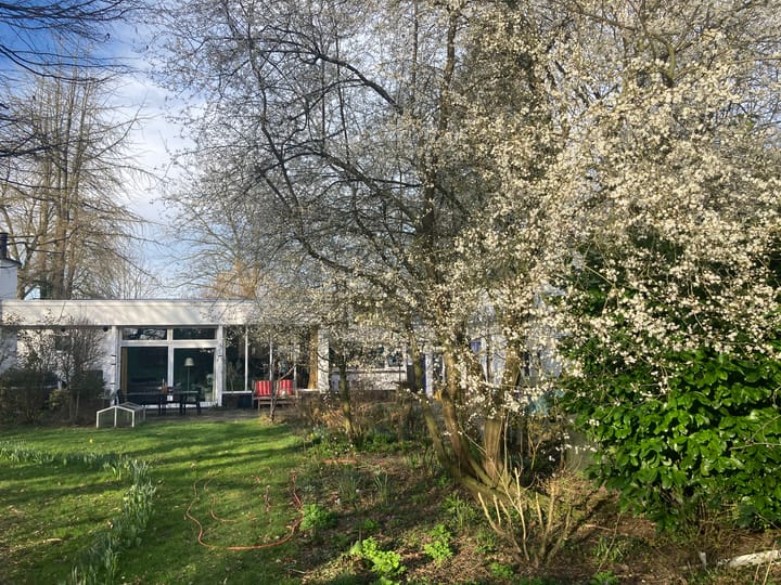 Foto 53 van Oranjesingel 16