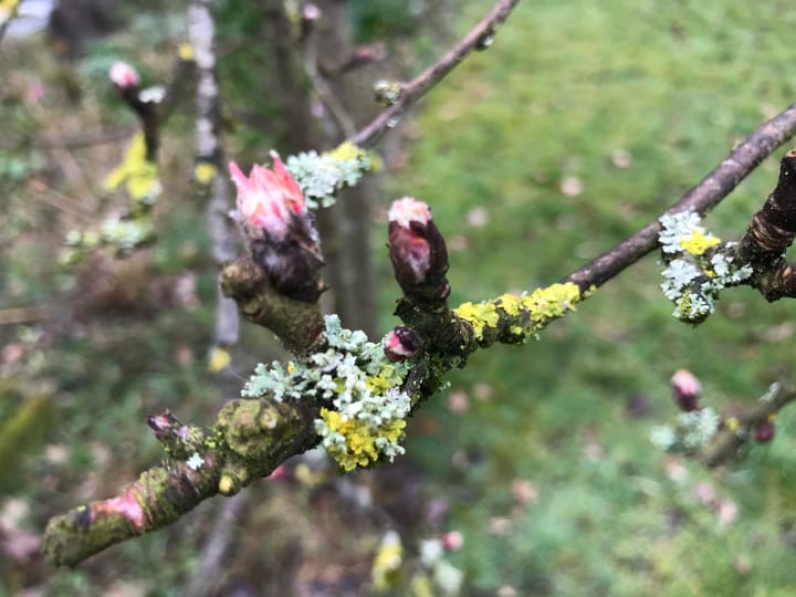 Foto 73 van Oranjesingel 16