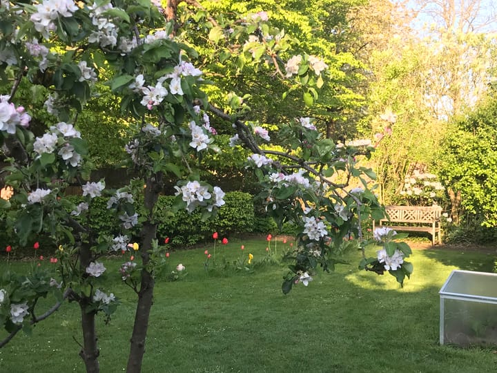 Foto 75 van Oranjesingel 16