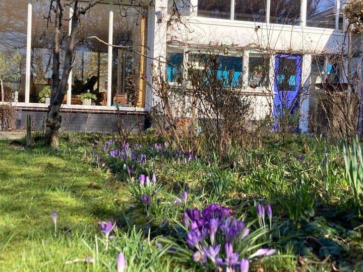 Foto 76 van Oranjesingel 16