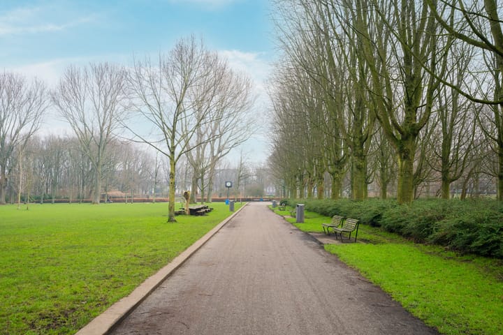 Foto 51 van Hoofdweg 690