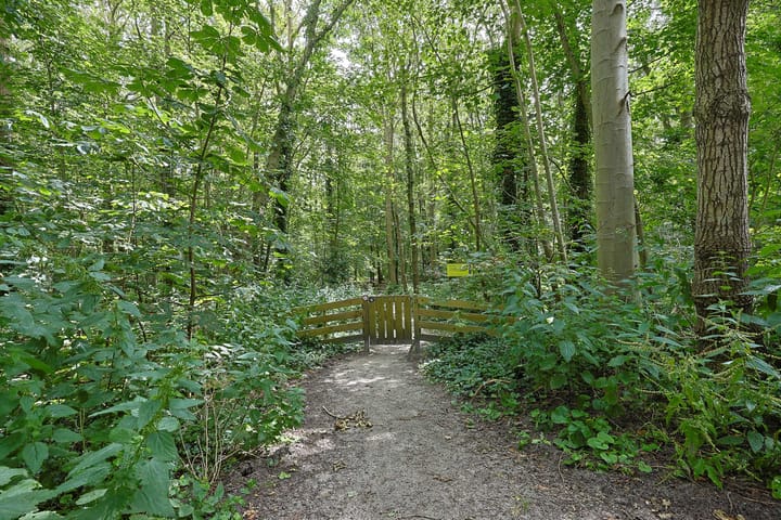 Foto 58 van Westerweg 39