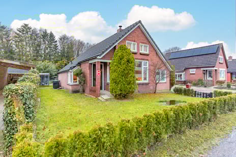 undefined main image