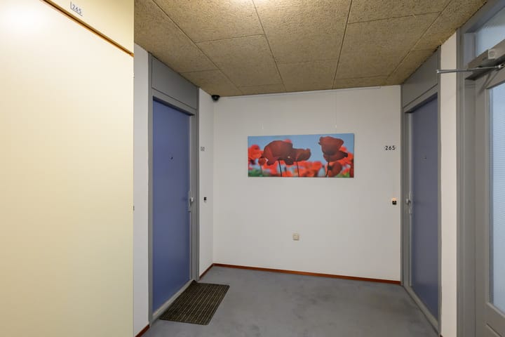 Photo 7 of Via Verdi 267