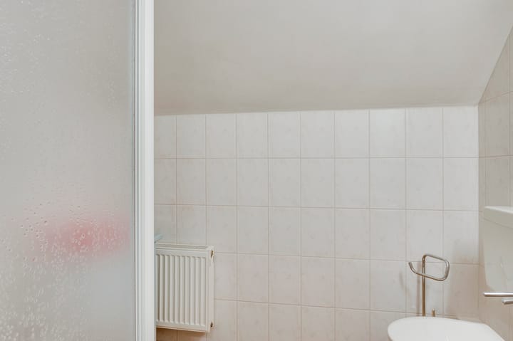 Foto 21 van Theo Siebenstraat 4