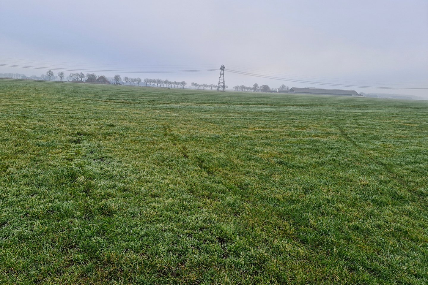 Bekijk foto 4 van Rietbergweg (kavel 1)