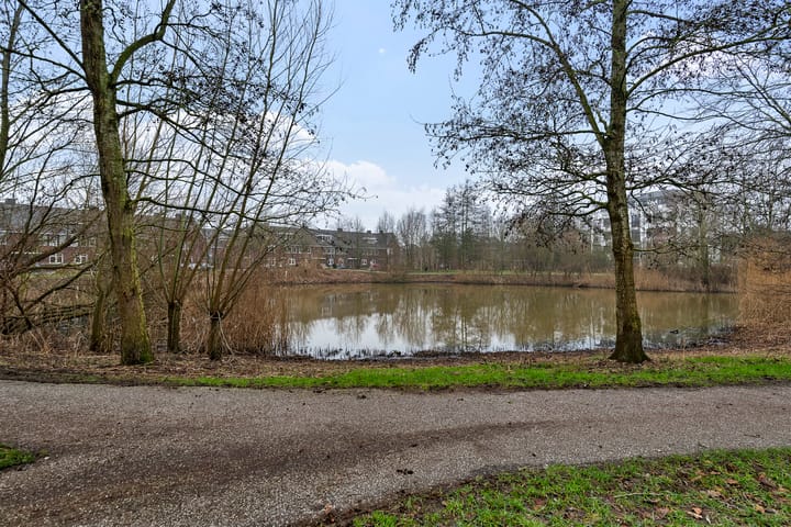 Foto 45 van Torenbergerhout 18