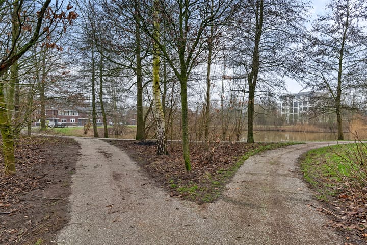 Foto 46 van Torenbergerhout 18