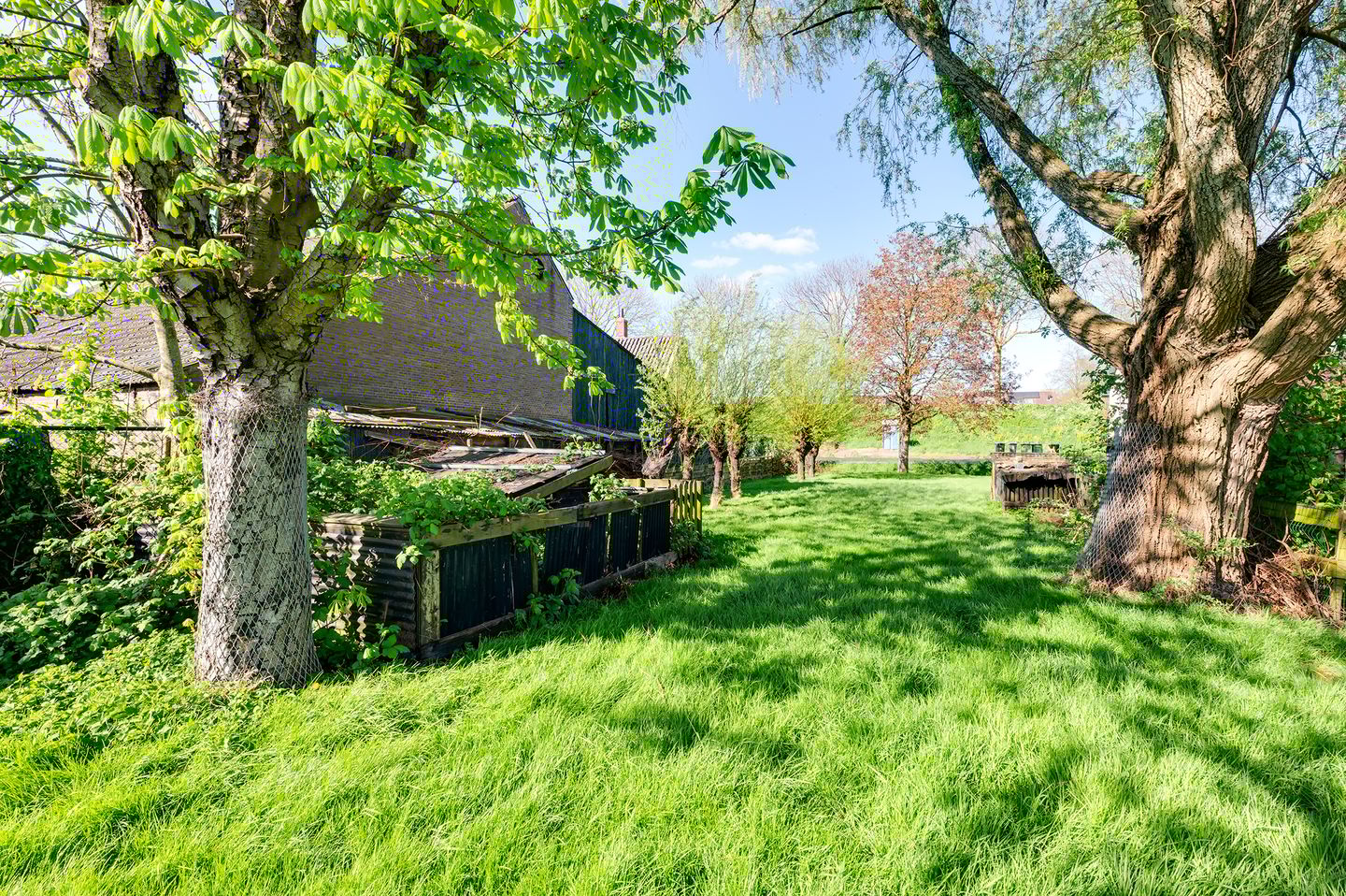 Foto 5 van Noordendijk