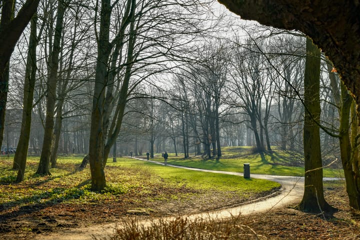 Foto 28 van Postjeskade 111-H