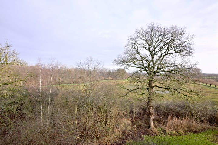 Foto 11 van Jan Bronnerplantsoen 13