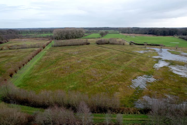 Foto 39 van Jan Bronnerplantsoen 13