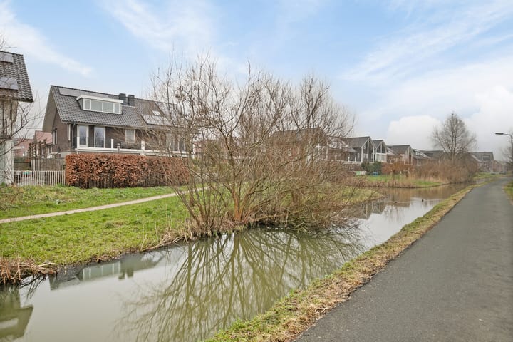 Foto 37 van Hoornbloemerf 17