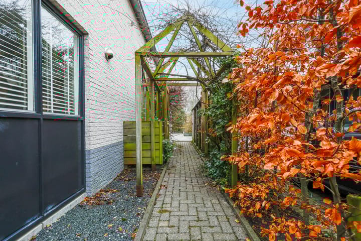 Foto 27 van Potvis 4