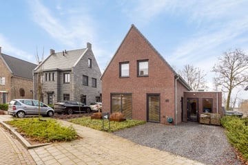 Esdoornstraat thumbnail