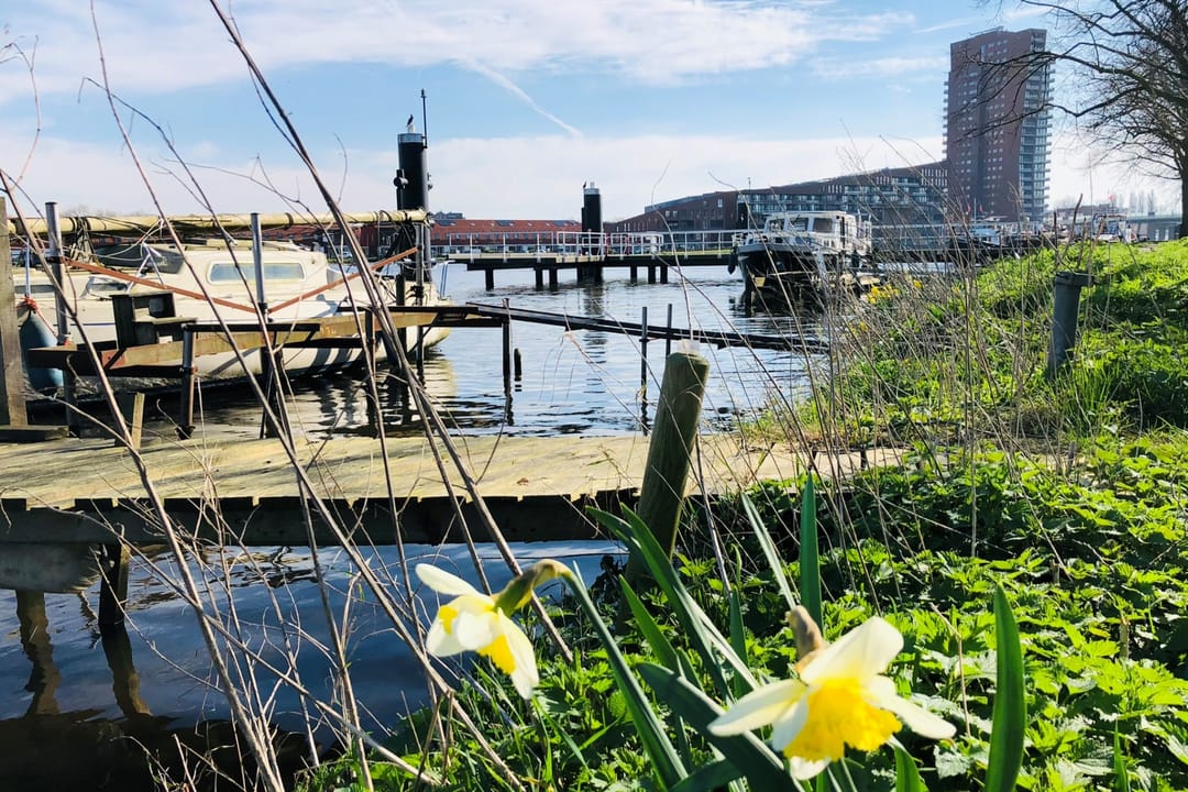 Foto 32 van Narvastraat 13