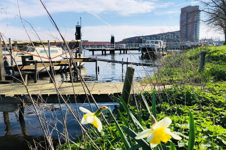 Foto 32 van Narvastraat 13