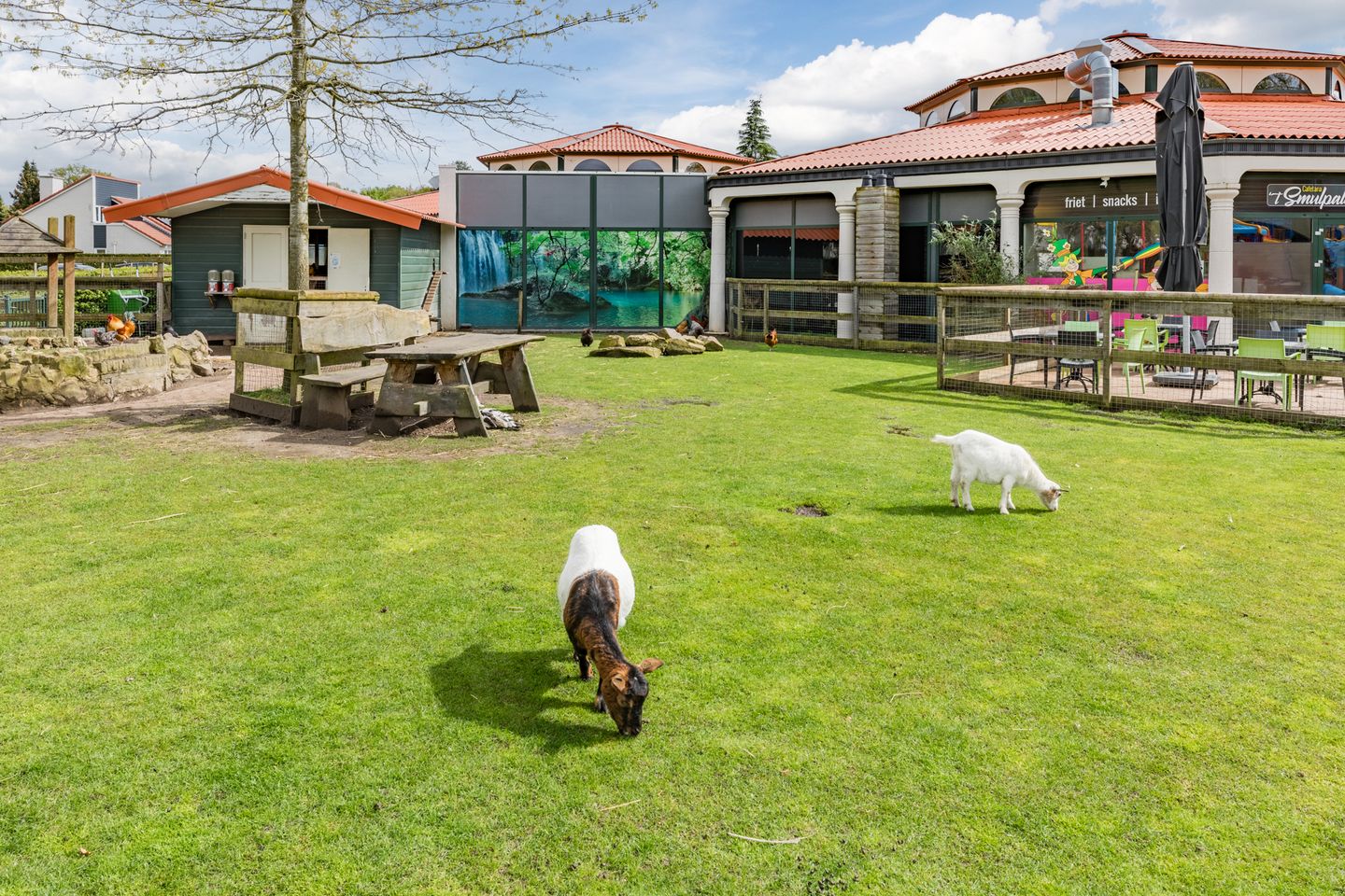 Foto 14 van Dorperheideweg 12-2344