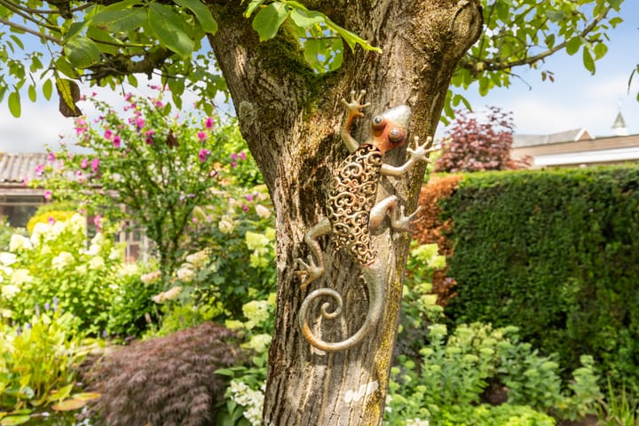 Foto 29 van Molenstraat 46