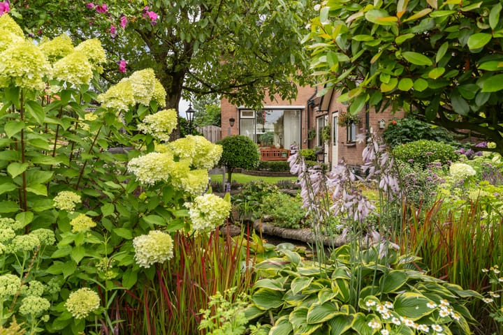 Foto 34 van Molenstraat 46