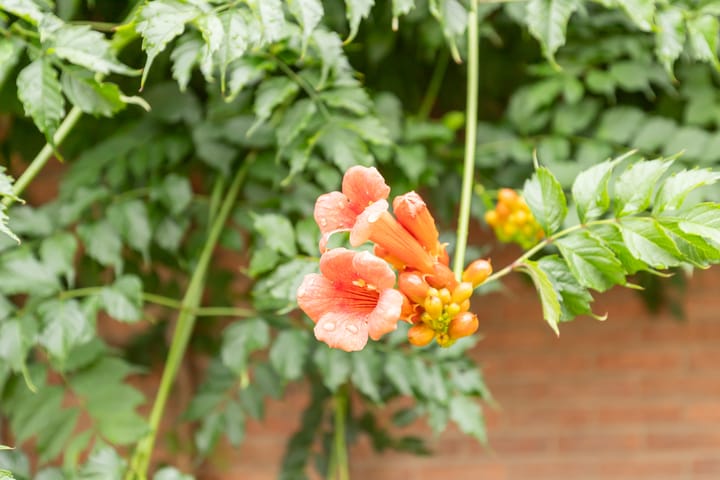 Foto 39 van Molenstraat 46