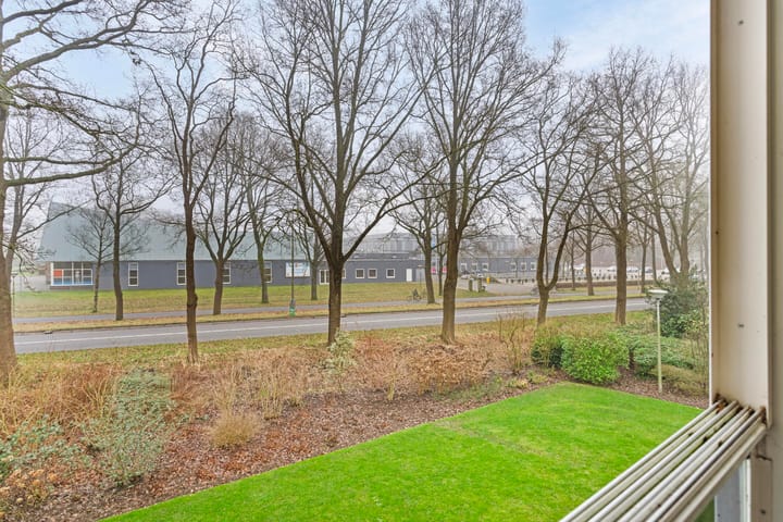 Foto 19 van Statehof 28