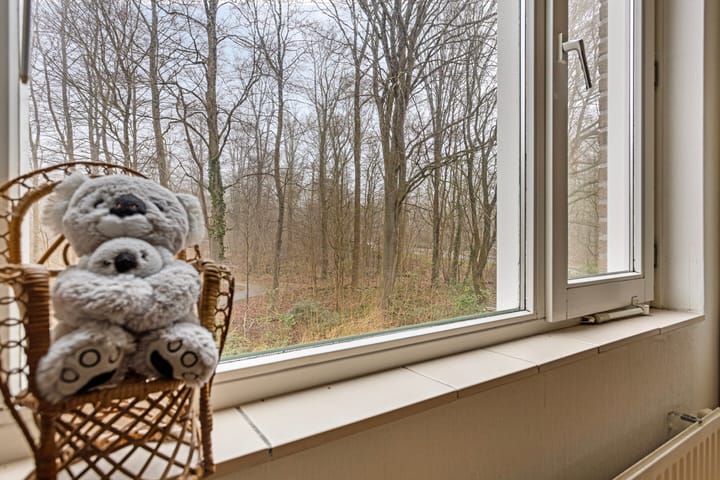 Foto 25 van Statehof 28