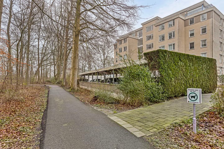 Foto 37 van Statehof 28