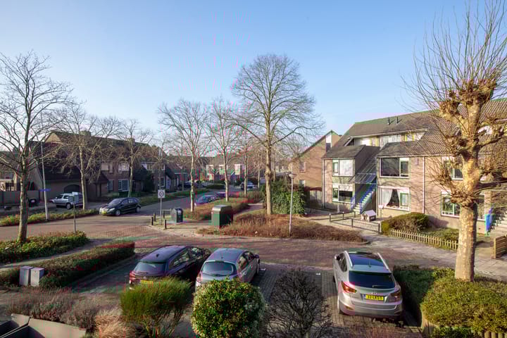 Foto 42 van Joris Zudde 4