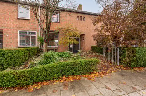 undefined main image