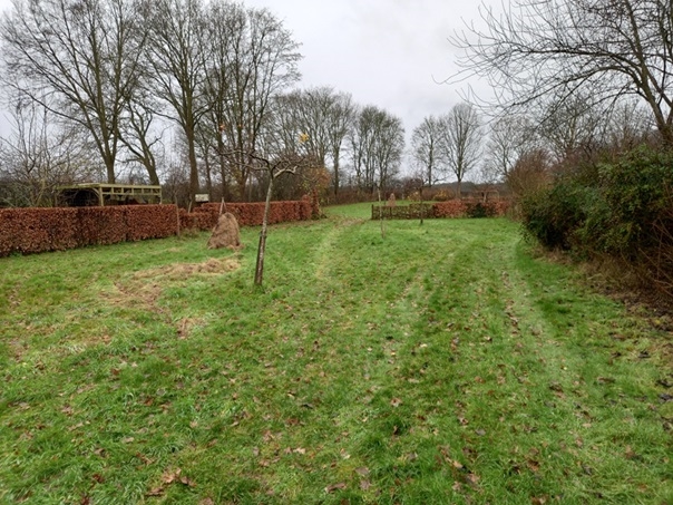 Bekijk foto 3 van Boschhoven