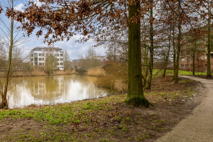 Foto 38 van Bakenbergerhout 51