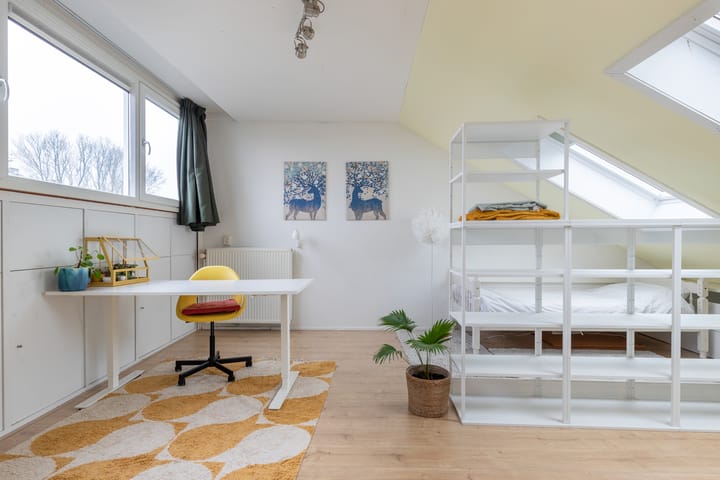 Photo 35 of Paltrokstraat 5