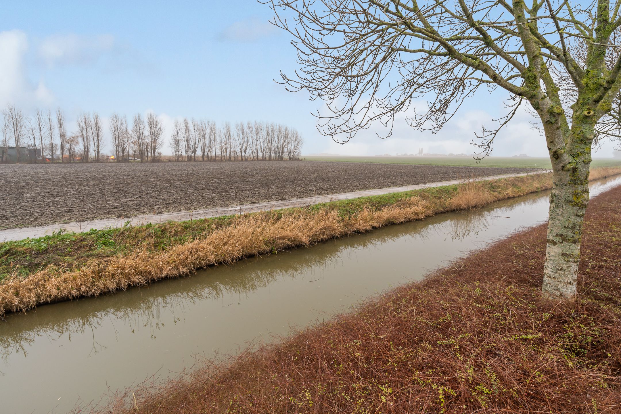 Foto 42 van Van Swaanswijckstraat 42