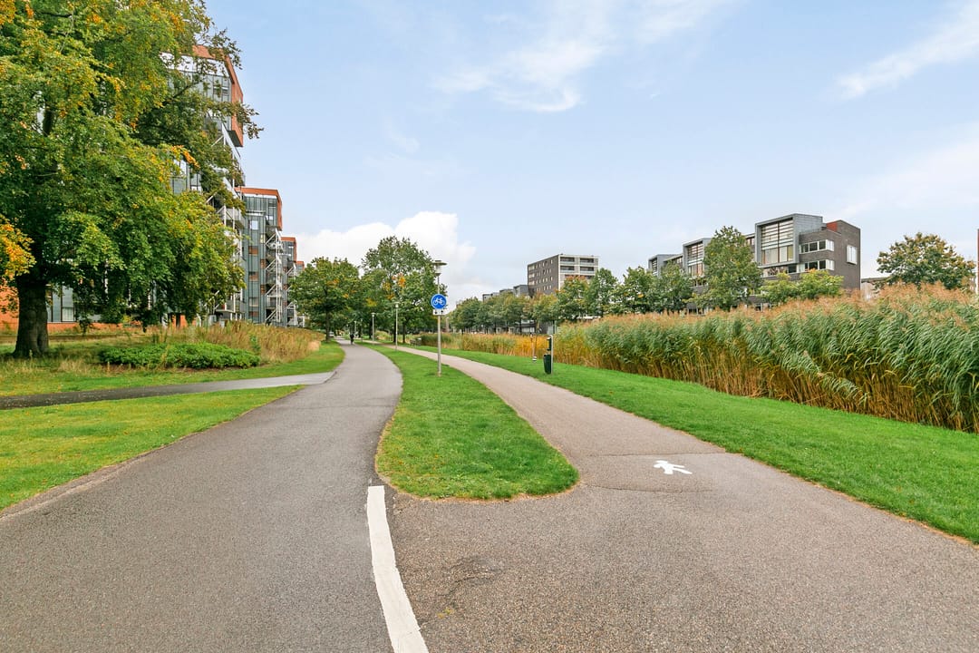 Photo 28 of Baron Sloetkade 323