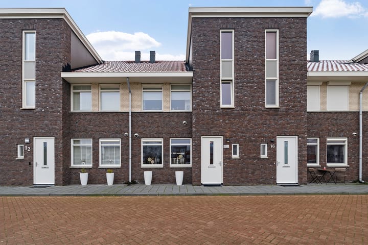 Foto 2 van Springerstraat 14