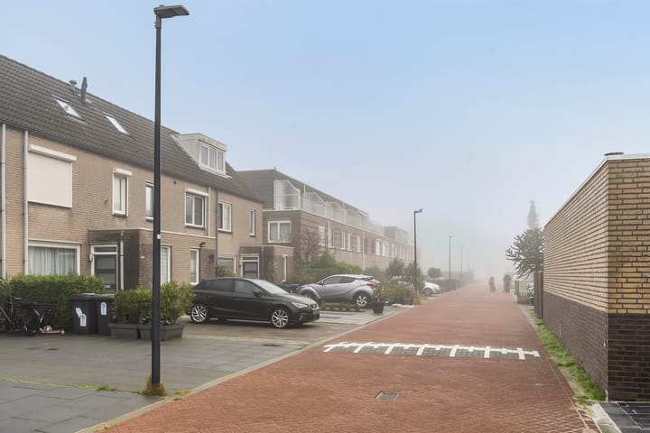 Foto 28 van Boekweitakker 24