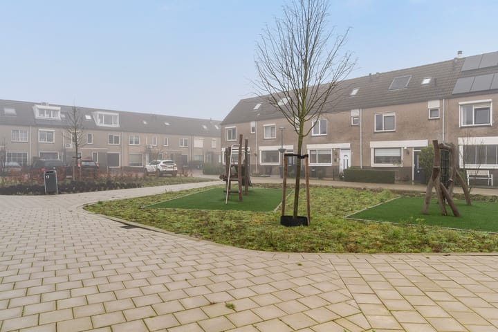 Foto 29 van Boekweitakker 24