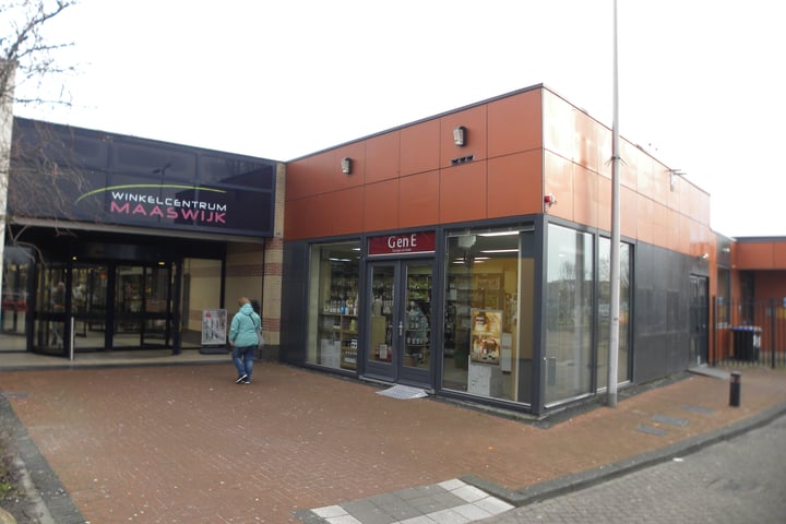 Vasalisplein 15, Spijkenisse